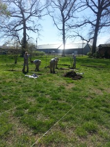 We piled the sod in the center where we're planning a circular herb bed. The string shows the outline of a garden bed