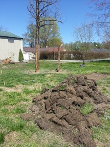 This is the pile of sod from 4 of the 10 beds.  